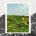 Grand Cru Bar | Tropical Forest, Quinindé, Ecuador | 70% Dark | 72 grams