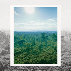 Grand Cru Bar | Amazon Forest, Napo, Ecuador | 70% Dark | 72 grams