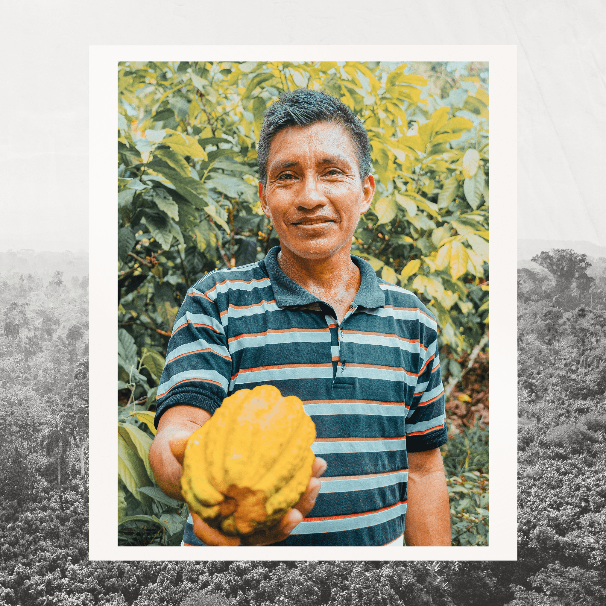 Grand Cru Bar | Amazon Forest, Napo, Ecuador | 70% Dark | 72 grams