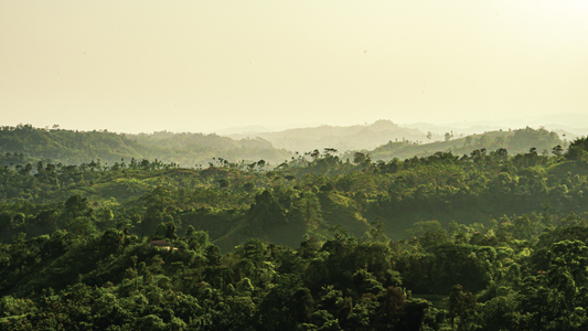 Trilogy Chocolate Collection: 3 Signature Harvests Chocolate Bars | 70% Dark | 216grams