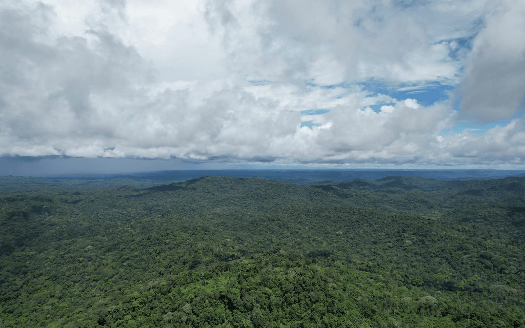 Trilogy Chocolate Collection: 3 Signature Harvests Chocolate Bars | 70% Dark | 216grams