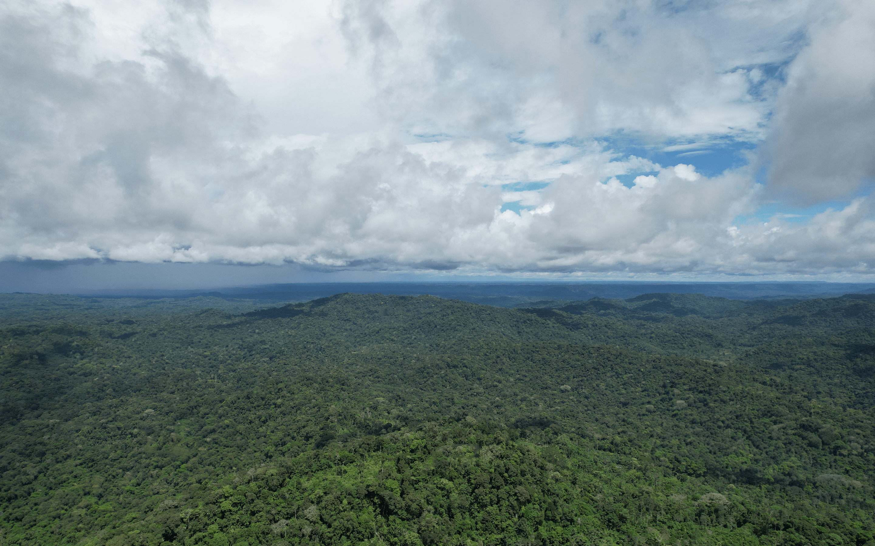 Epicure Box | Amazon Forest, Napo, Ecuador | 70% Dark | 180 grams